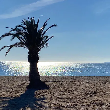 Apartment Nouveau Emma, Quartier Historique A 400m De La Mer Saint-Raphael (Var)