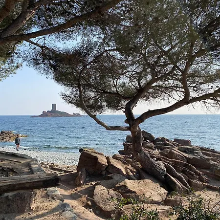 Nouveau Emma, Quartier Historique A 400m De La Mer Saint-Raphael (Var)